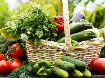 Plant-based Foods